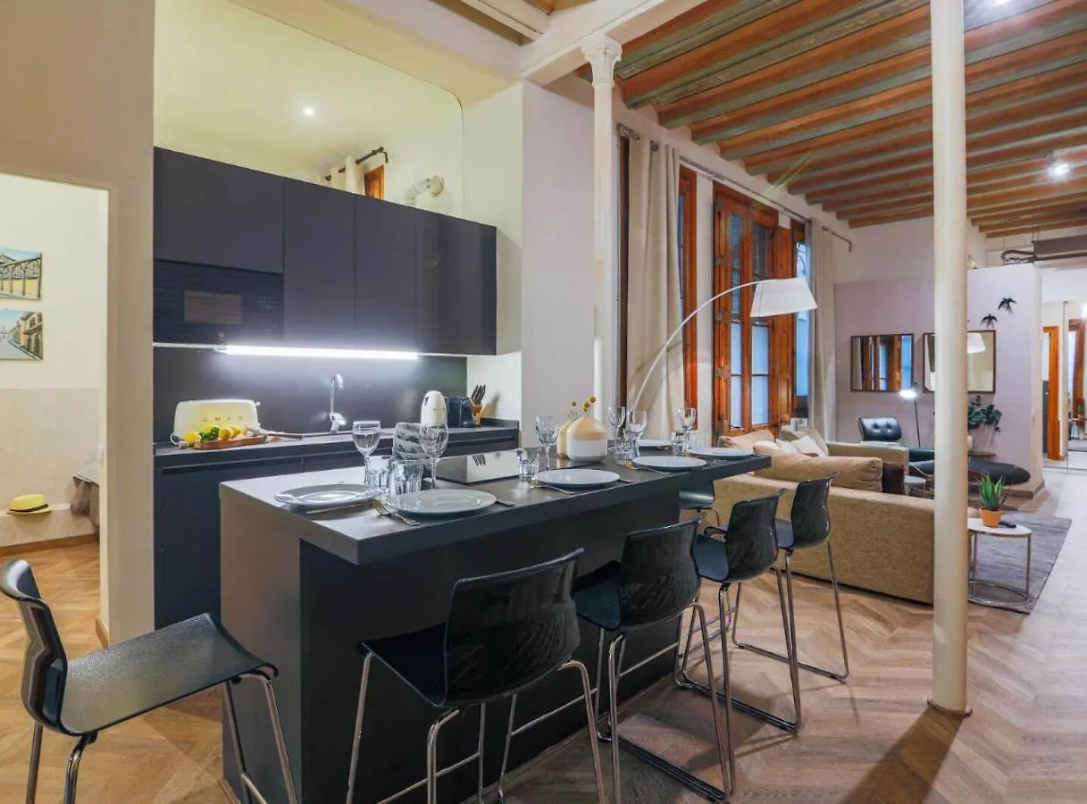 Avinyo 2 Gotic - Spacious Loft In Gothic Quarter! 바르셀로나